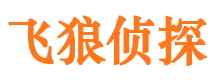 渝水侦探公司